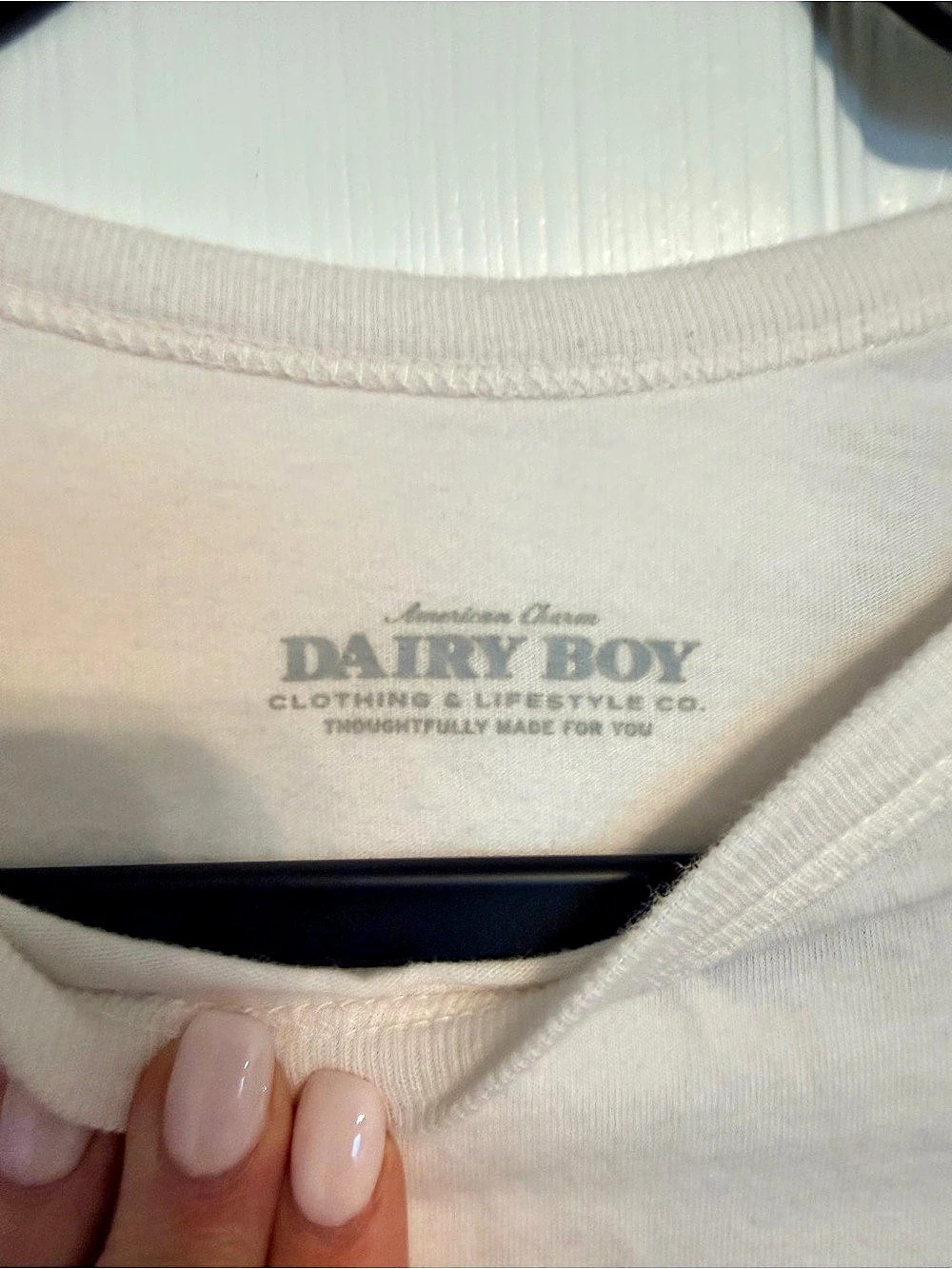 Dairy Boy Raglan Tee Color Block - Picture 3 of 3